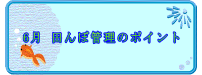 6 cڊǗ̃|Cg